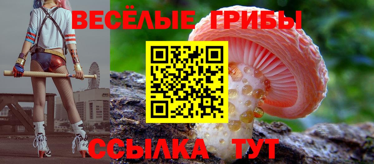 Псилоцибиновые грибы Cubensis  Псилоцибиновые грибы ЛСД  Вход с VPN  Трёхгорный 